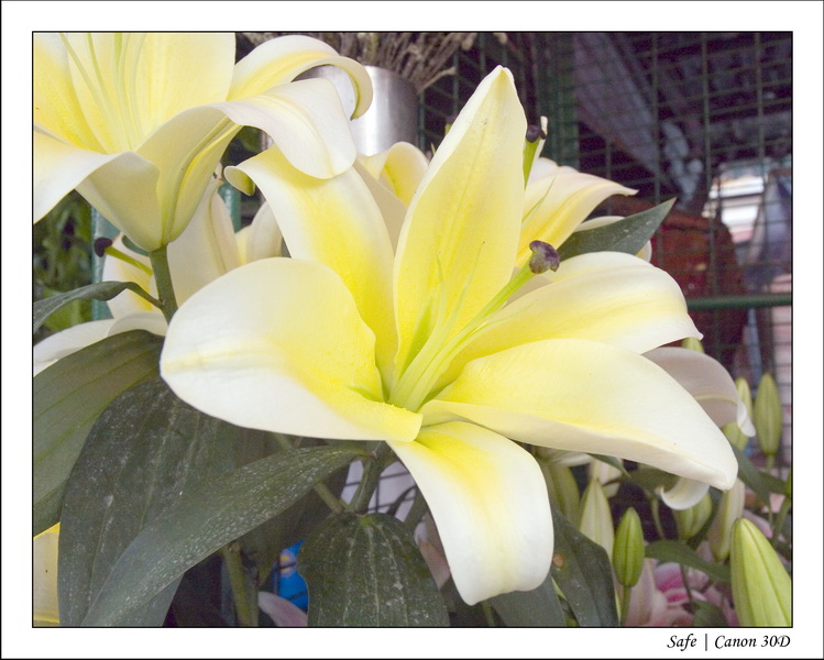 2008 - 07 - Hong Kong - 040